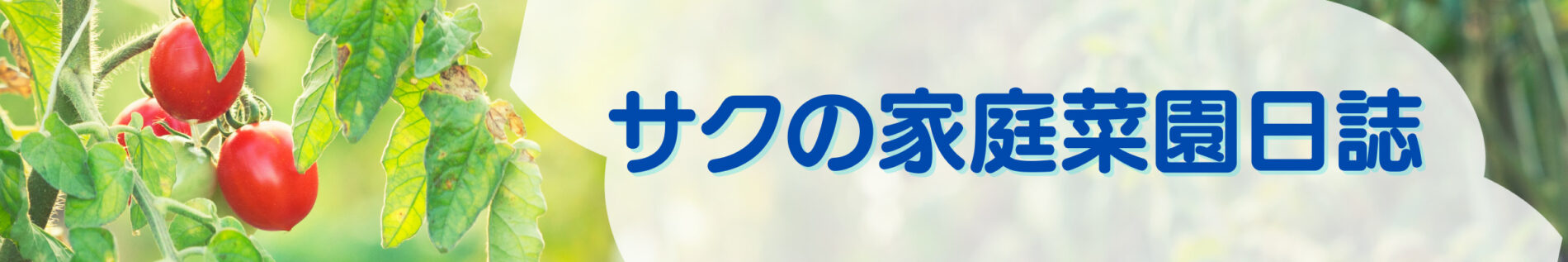 サクの家庭菜園