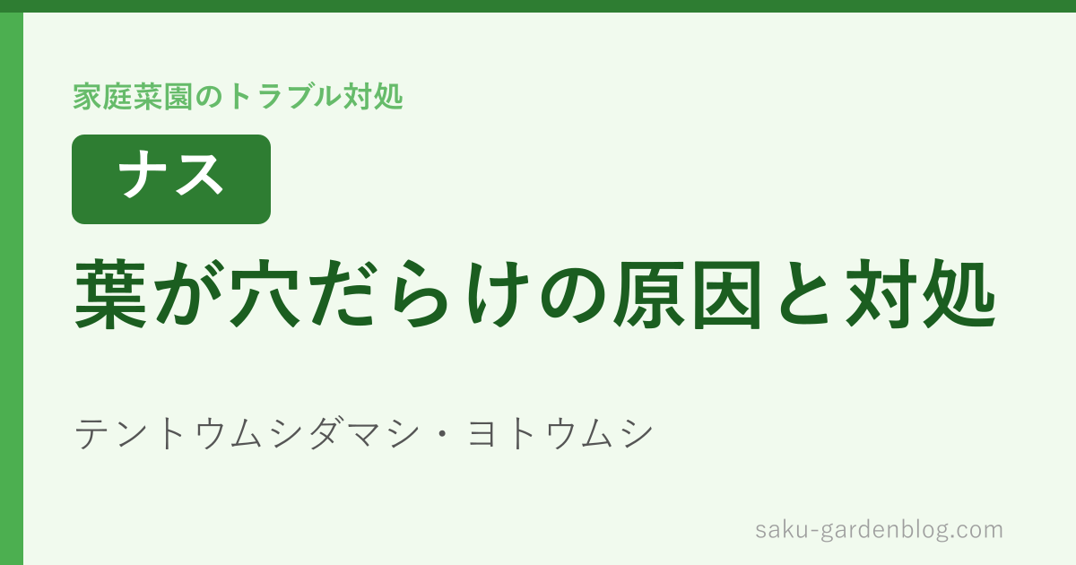 ナスの葉が穴だらけになる原因と対処(テントウムシダマシ・ヨトウムシ)