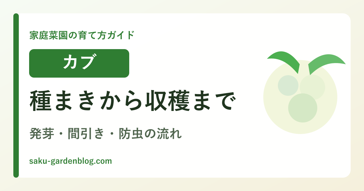 カブの育て方ガイドのアイキャッチ画像
