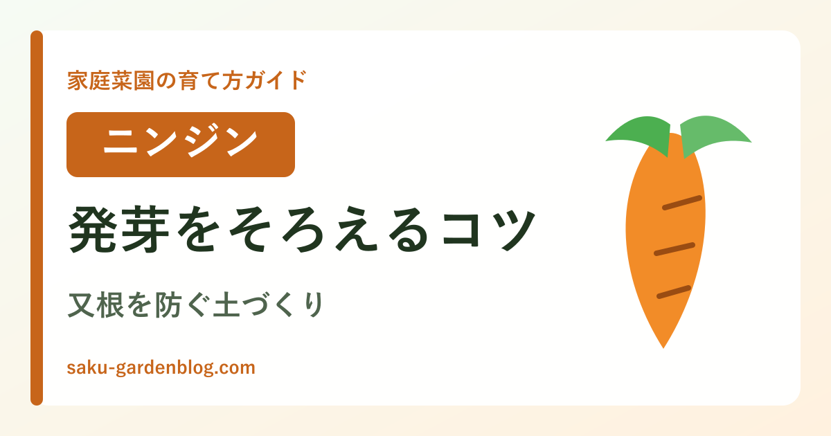 ニンジンの育て方ガイドのアイキャッチ画像
