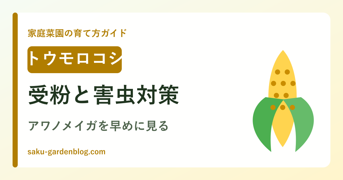 トウモロコシの育て方ガイドのアイキャッチ画像