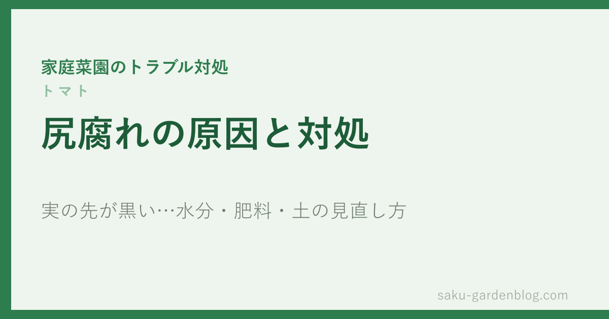 トマトの尻腐れの原因と対処