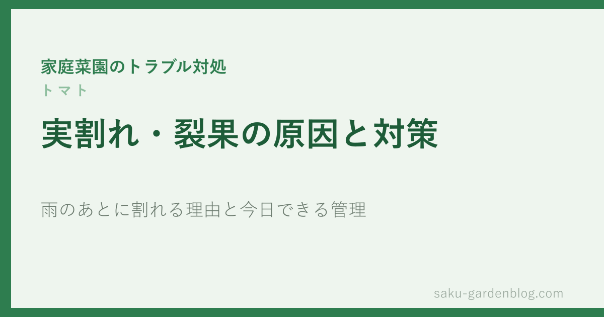 トマトの実割れ・裂果の原因と対策