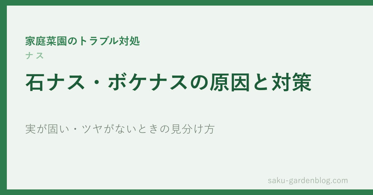 ナスの石ナス・ボケナスの原因と対策