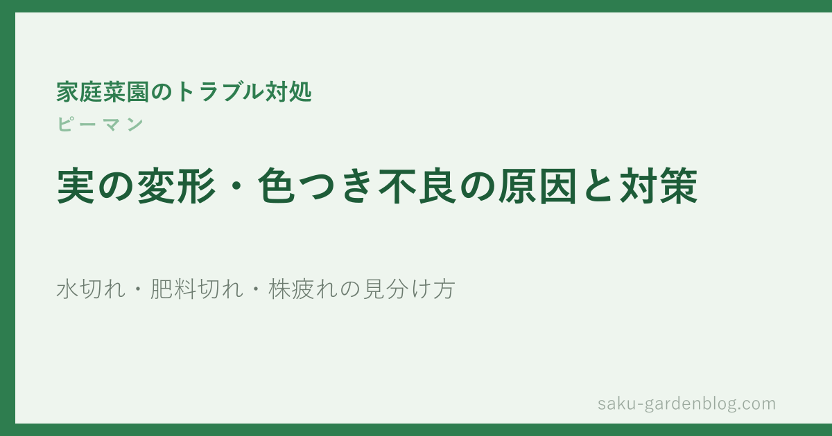 ピーマンの実の変形・色つき不良の原因と対策