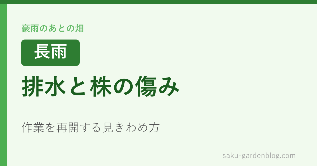 排水と株の傷み