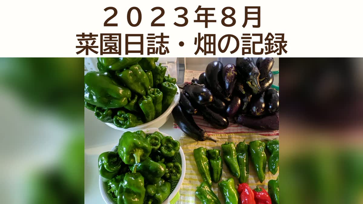 ２０２３年８月「菜園日誌」