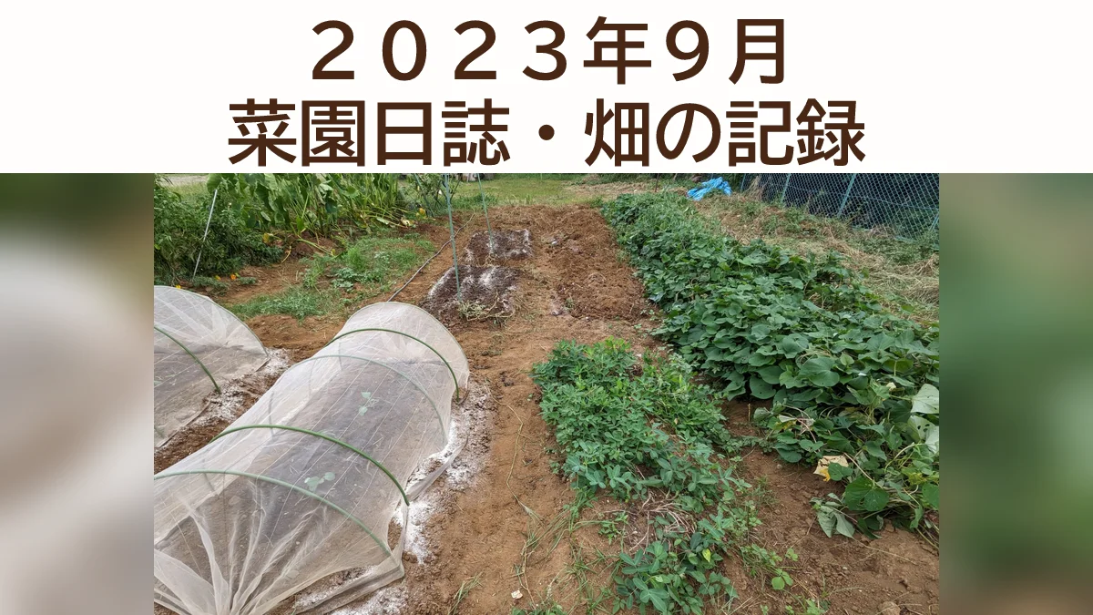 ２０２３年９月「菜園日誌」