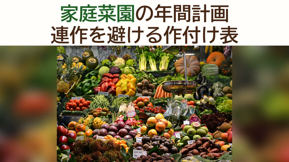 家庭菜園の年間計画の立て方｜連作障害を避けて野菜を育てる作付け表
