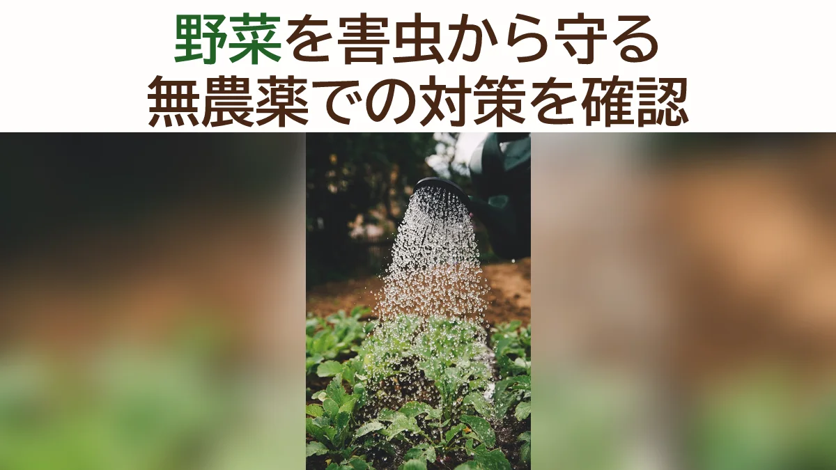 家庭菜園の病害虫対策【完全ガイド】無農薬で野菜を守る方法｜初心者向けに解説