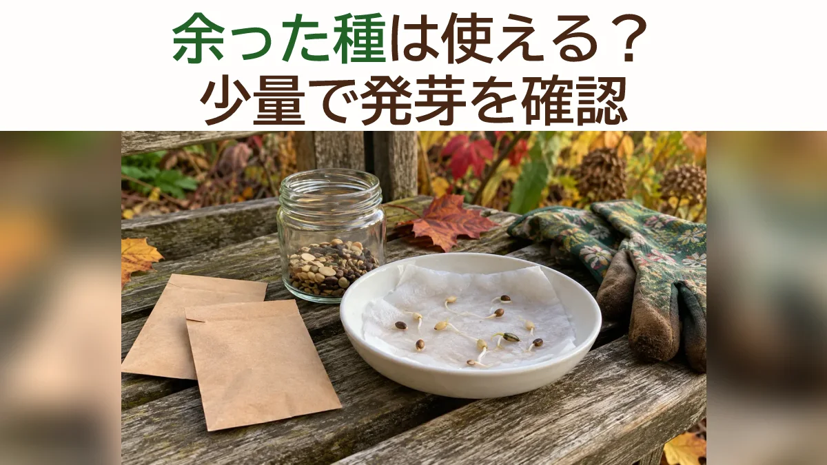 余った種は秋まきに使える？保存状態と少量の発芽確認で買い直すか決める