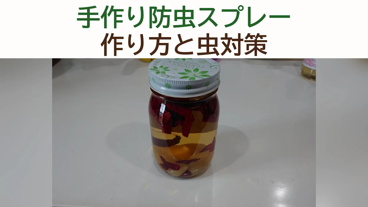 家庭菜園の手作り防虫スプレー｜無農薬でできる虫対策レシピ7選