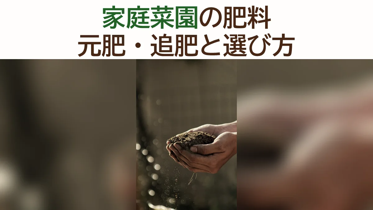 家庭菜園の肥料の基本｜元肥・追肥の違いと有機・化成肥料の選び方
