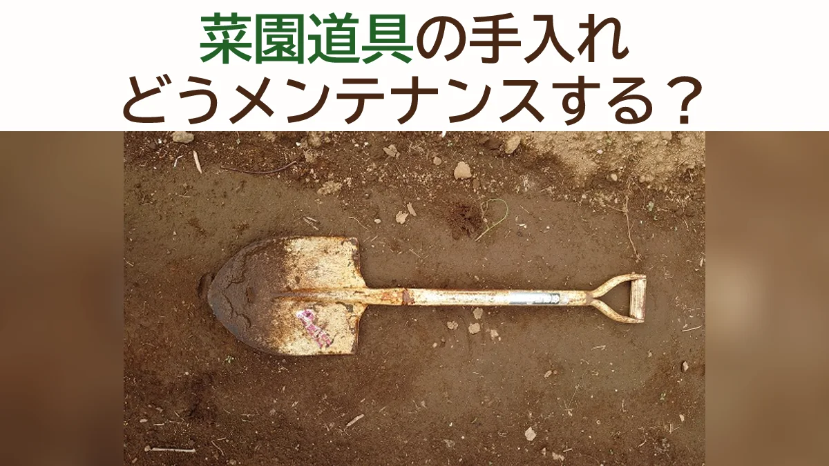 道具のメンテナンスについて