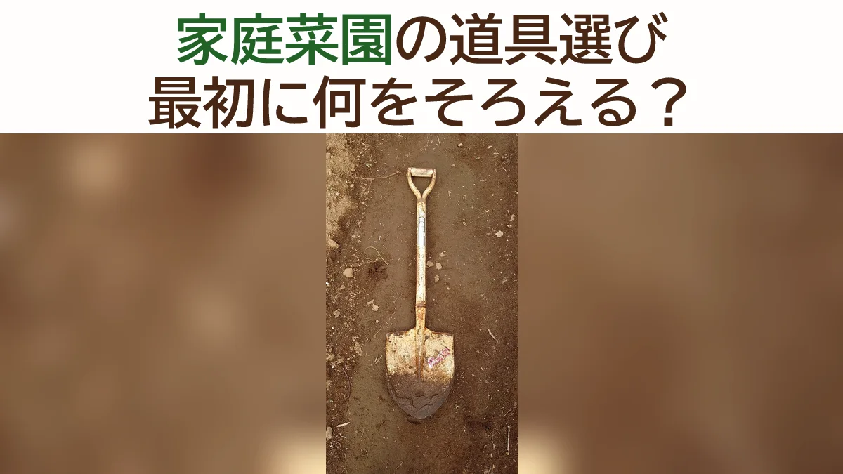 家庭菜園で必要な農具・道具まとめ｜初心者が最初に買うべき7選と選び方