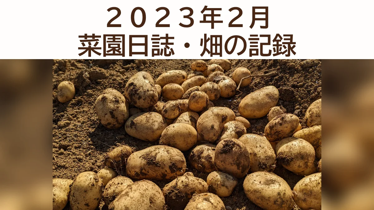 ２０２３年２月の「菜園日誌」
